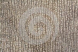 Relief texture of an old cracked ruberoid resembles a bark of a tree or skin, abstract background