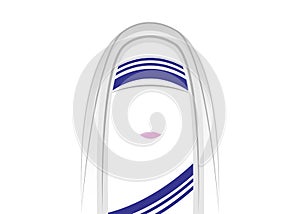 Religious congregation of the Missionaries of charity, isolated vector
