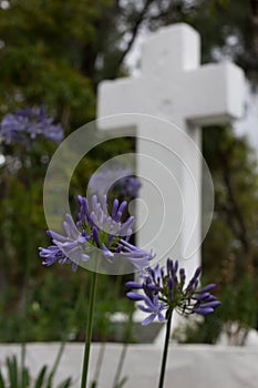 Religious Cross with Flowers