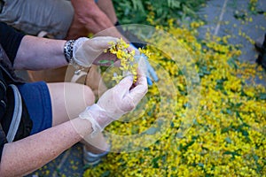 Religious festival of the corpus domini with infiorata artistic drawings with flowers