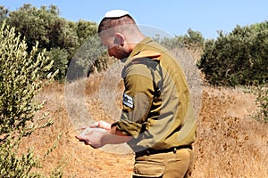 Religious Israeli soldier with a kippah on his head holds the Tanakh (Hebrew Bible) in his hands