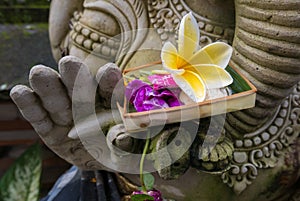 Religious offering in Genesh statue hand, Bali