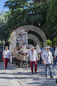 Religious procession with ox-drawn carriage Ronda Spain