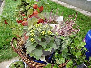 Religious wreathes on Memorial day. Autumn flowers and plants
