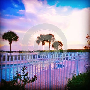 Relaxation at the Pool