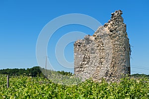 Remain of a tower in vine yard