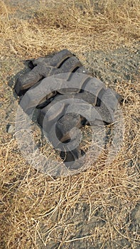 Remainder of old rubber tire photo