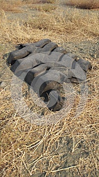 Remainder of an old rubber tire 2 photo