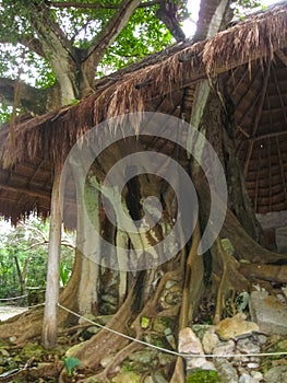 A remaining mayan ruin at San Gervasio