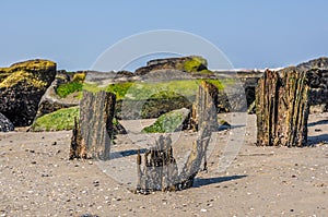 Remainings of destroyed wood pier