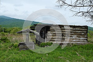 The remains of an abandoned burnt-out rural house with a well in a clearing