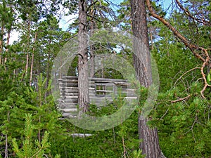 Remains of an abandoned hunting lodge in the forest