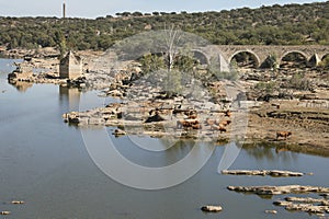 Remains of the Ajuda bridge over The Guadiana River photo