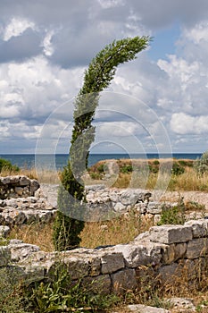 The remains of the ancient city of Chersonesus. Founded by the ancient Greeks. Hersones ruins, archaeological park