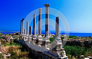 Remains of ancient columns at Al Mina excavation site in Tyre, Lebanon photo