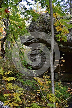 The remains of ancient megaliths are hidden in the forest of the Kamenny Gorod tract