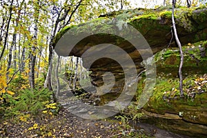 The remains of ancient megaliths are hidden in the forest of the Kamenny Gorod tract