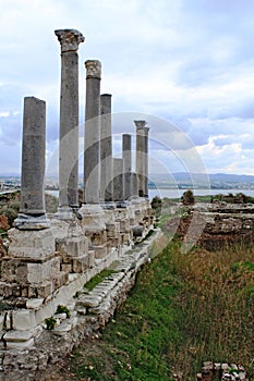 Remains of ancient roman columns in Tyre
