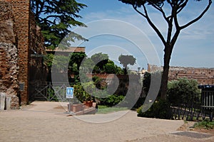 The remains of the ancient Roman temples and houses at the archeological cite at Forum Romani, Rome, Italy