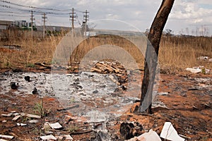 Remains of a brush fire photo