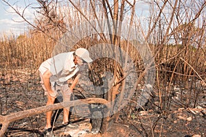 Remains of a brush fire photo