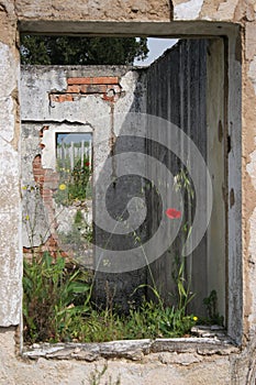 Remains of a building after Yugoslavian war