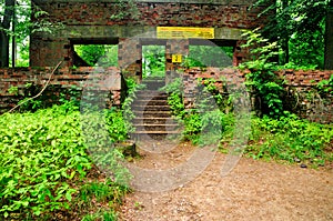 Remains of Bunkers of Wolfsschanze