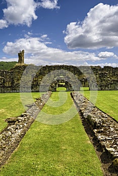 Remains of Byland Abbey photo