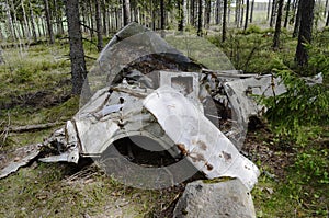 Remains of the car in forest
