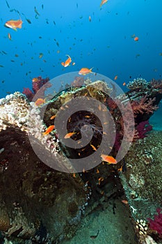 Remains and cargo of the Yolanda in the Red Sea.