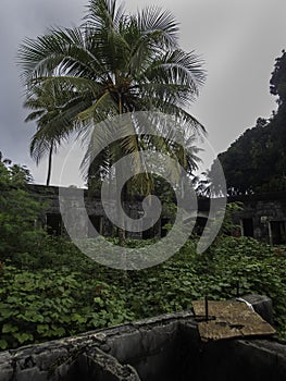 Remains of a civilian hospital built by the Japanese on Tonoas Island, Truk