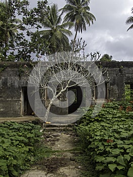 Remains of a civilian hospital built by the Japanese on Tonoas Island, Truk