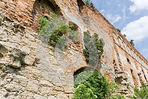 Remains of defense mediaeval castle wall overgrown with different shrubs