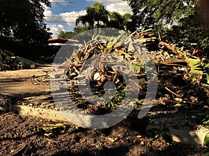 Remains of demolished residential home, Tampa, Florida