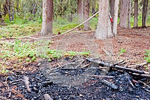 Remains of forest fire extinguished just in time