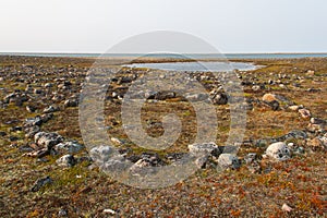 Remains of Inuit tent ring along the coast of Hudson Bay north of Arviat at a place called Qikiqtarjuq