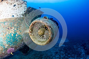 Remains of a jet engine on an underwater aircraft wreck