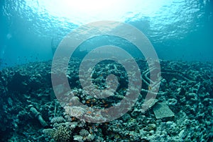 The Remains of the Lara shipwreck