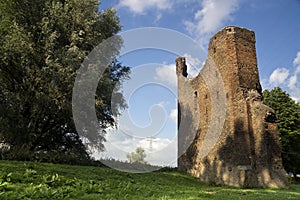 Remains of Merwe castle