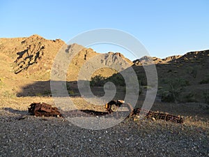 Remains of Old Machine Treads Rusting in Arizona Desert