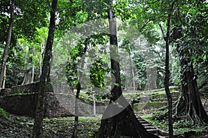 Remains of the old Maya city of Palenque, Mexico