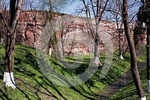 Remains of the Radziwill Castle