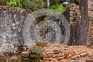 Remains of a residential building on a convict Island Tasmania Australia