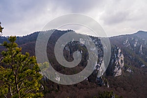 Remains of rock city in Sulov Rocks, SÃºÄ¾ov Rocks is a Slovak national nature reserve. Slovakia Sulovske Rocks High sandstone