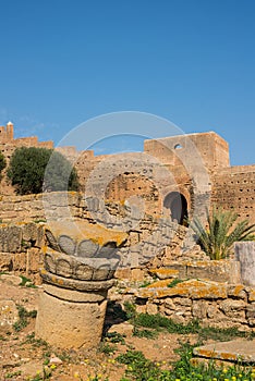 Remains of Roman city of Chellah necropolis. Rabat. Morocco.