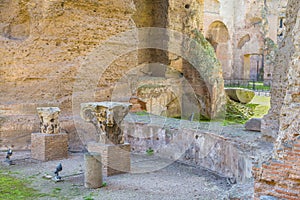 Remains of Roman column ( capitals ) in the ruins of ancient Roman Baths of Caracalla (Thermae Antoninianae)