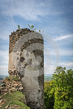 Zvyšky Šarišského hradu