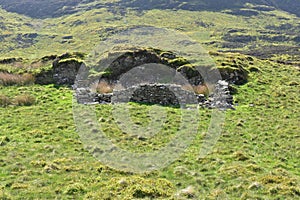 Remains of sheepfold or perhaps small bothey photo