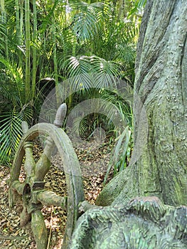 Remains of shipwreck on shore Native forest