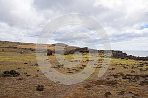 Remains of stone structures and the toppled moai Te Pito Kura along the northern coast of Easter Island. Easter Island, Chile